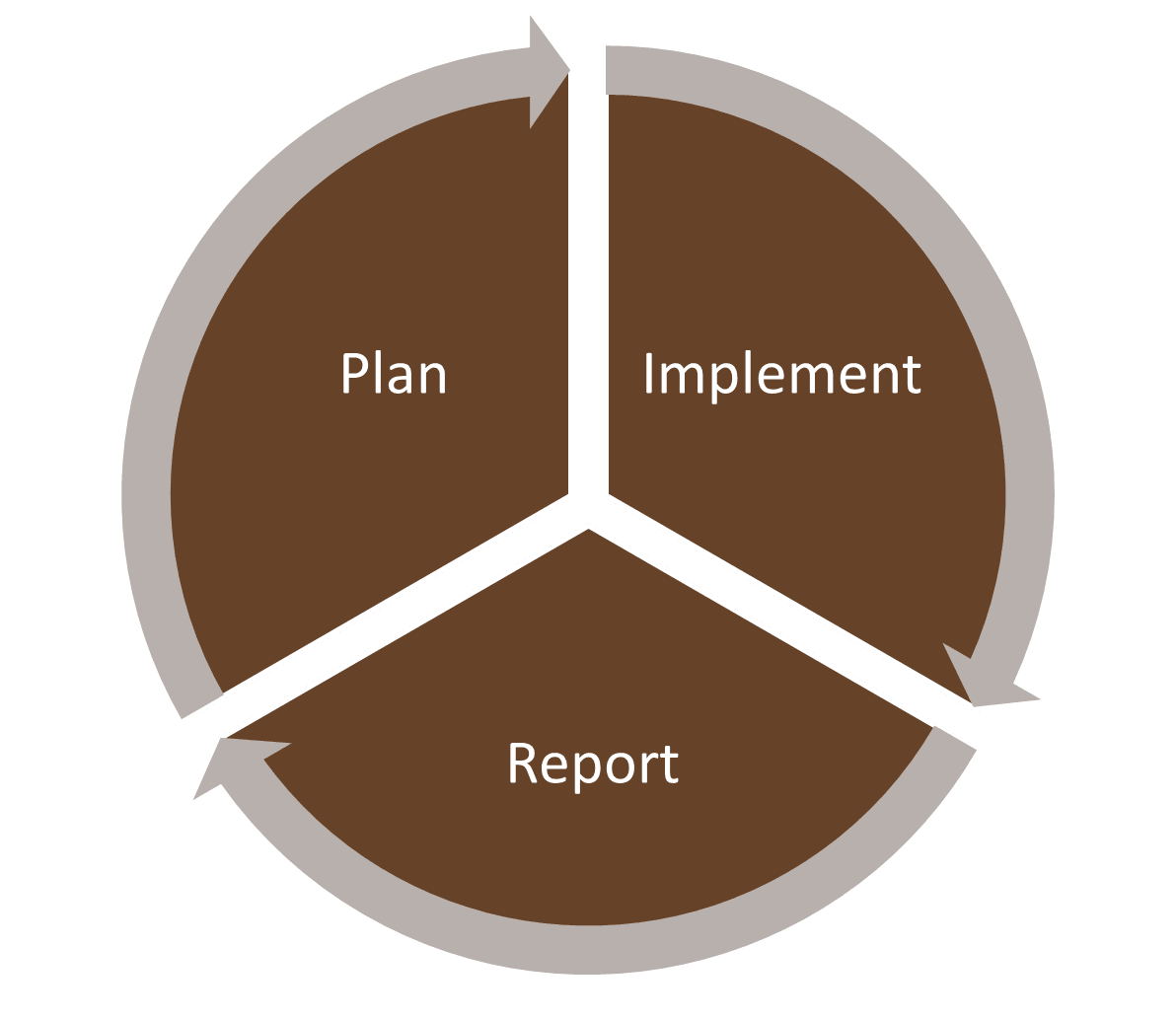 plan, implement, and report